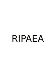 Ribosomes In Prokaryotes And Eukaryotes Are